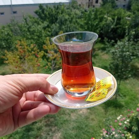 Bizim Ev Hostel Naftalan Buitenkant foto